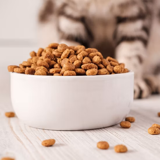 Conservante de propionato de sodio para alimentos para mascotas y piensos para animales