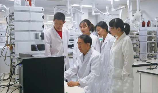 Colorante alimentario al por mayor, amarillo carofila, 10 % de polvo amarillo carofila.