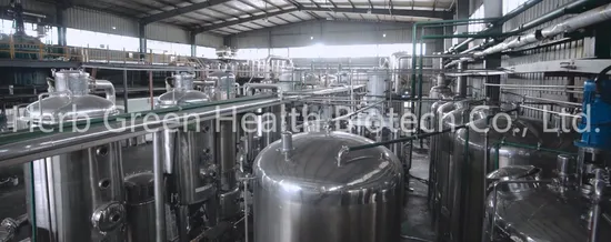 Polvo de plántula de cebada rico en vitaminas naturales y puras para el cuidado de la piel, a precio de fábrica, venta al por mayor